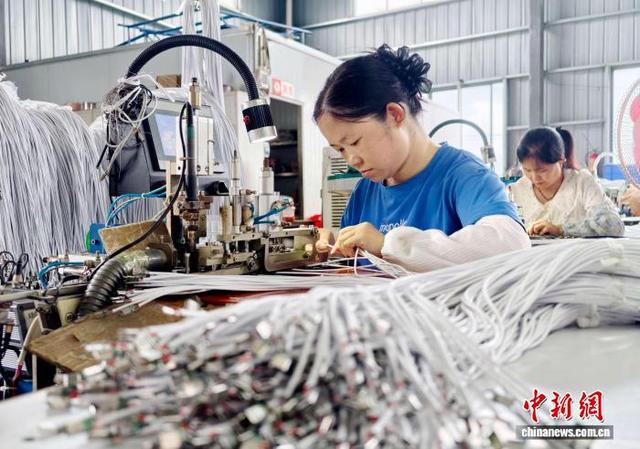 广西融安：粤桂协作产业园 小小数据线畅销东盟