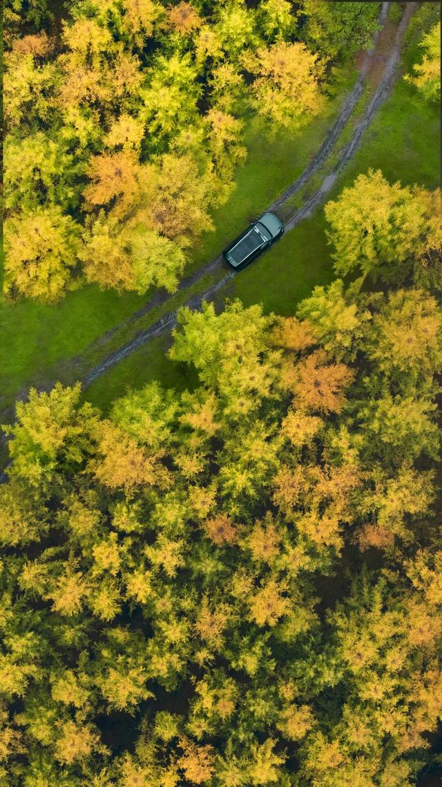 欢迎来到，秋天的廊道