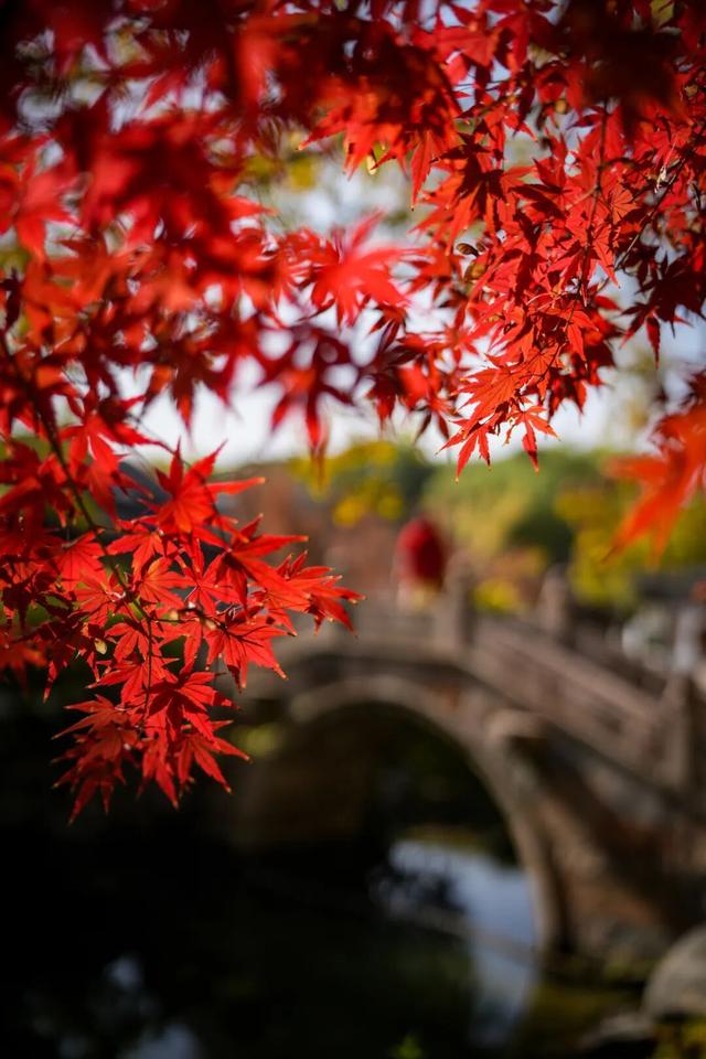 美翻了！南湖，正是红橙黄绿时