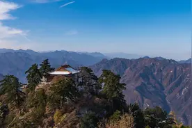 分享几首健脾益气、补肾益精的养生古方图片