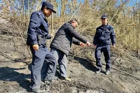 男子清除杂草，被刑拘！图片