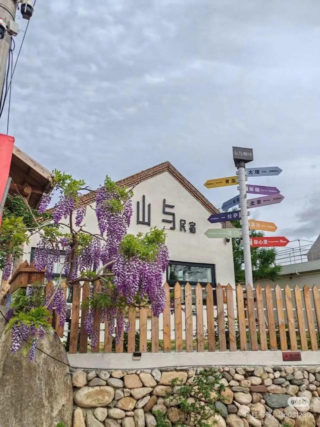 想把临沂的春天打包送给你，临沂最全赏花攻略来了