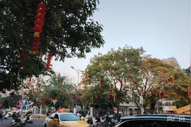 新春走基层｜海口府城老街年味浓图片