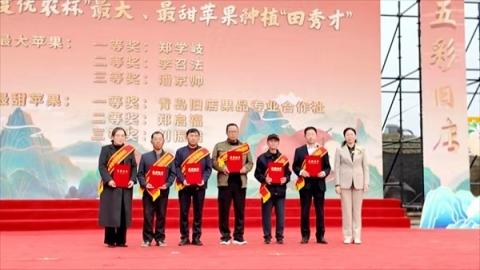 “苹”添秋韵 “果”满旧店 第十六届青岛旧店苹果展示交易会暨第七届文化旅游节盛大启幕