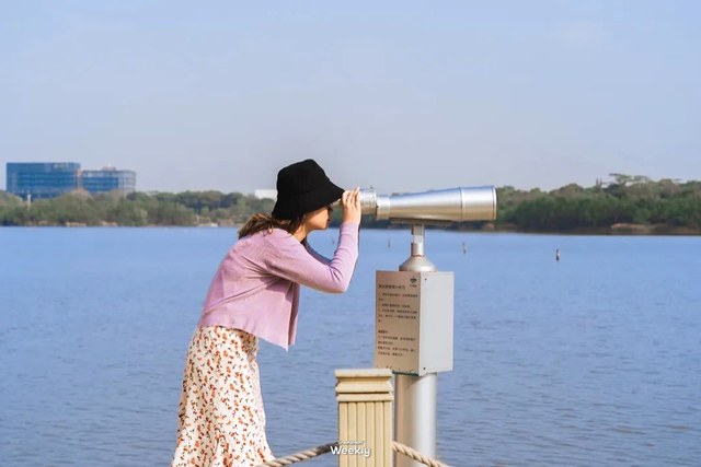 “春运都没这么多人”！深圳知名景区刷屏，网友纷纷“劝退”！