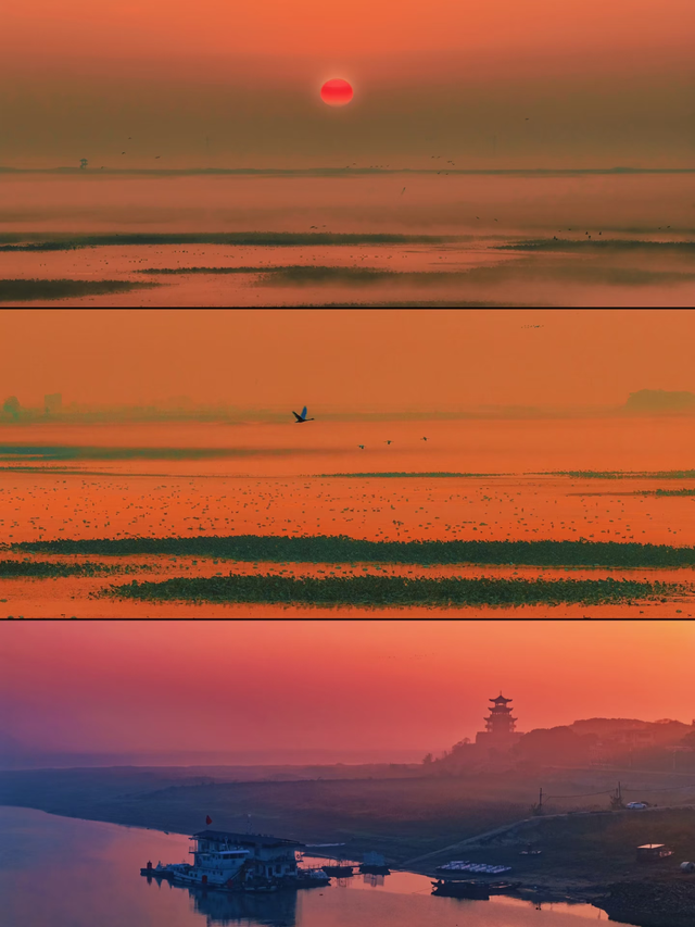 元旦去哪儿？来江西，赴一场候鸟之约