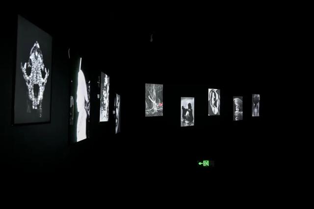 跨越那二十多分钟：集美·阿尔勒的十一年