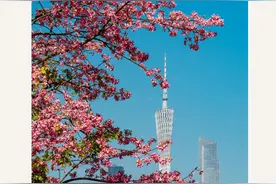 早参 | 未来三天广州最低气温都低于10℃；广州历史建筑修缮补助最高可达100万元/处图片