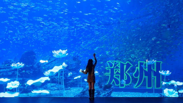 郑州海昌海洋公园迎两周年 开启“国潮海洋”新篇章