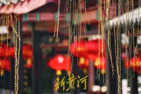 柳吐新，醉游人！市民在济南五龙潭公园踏青寻春 | 镜相图片
