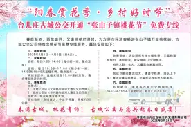 台儿庄区今日开通！坐免费专线去看“张山子镇桃花节”喽！图片