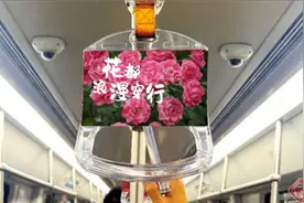 驶向浪漫！昆明地铁4号线斗南鲜花专列8月9日揭幕图片