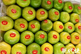 柑橘类水果涌入苏州，“1元果”现身农产品市场图片