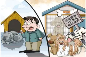 买来的宠物犬为何没活过一周？记者调查“星期宠”售卖乱象图片