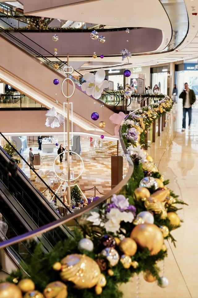 《对话/Dialogue》	，上海巴黎双城光冕两生花