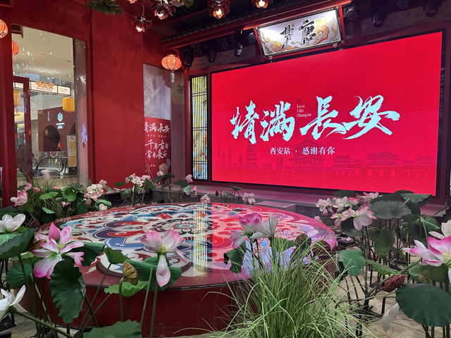 聚焦高质量发展丨陕西西安：文化赋能绘就千年古都新图景