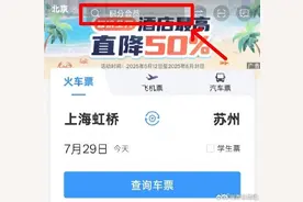 如何通过铁路12306APP查询停运车次信息图片