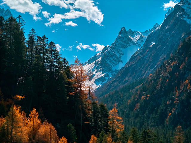 这一次，不得不去绵阳了！