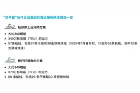 MSC敲定新盟友、“双子星”计划发布，航运联盟新格局落定图片