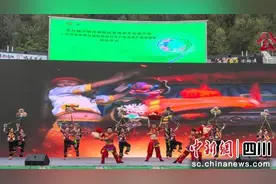 第九届中国成都国际非遗节广元活动精彩纷呈图片
