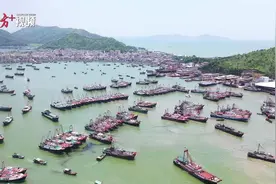视频合集！开渔节，广东各地开渔场景震撼来袭图片