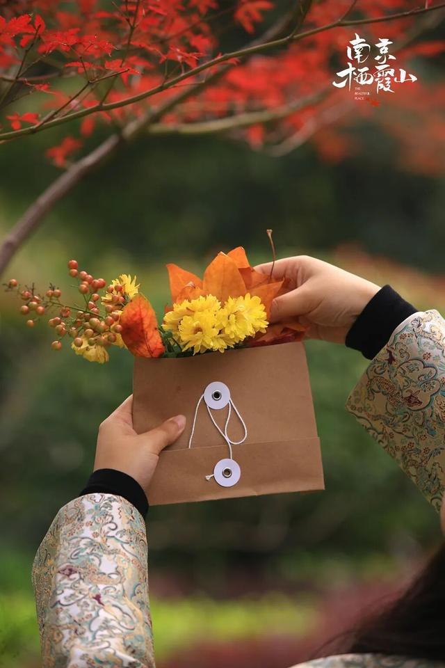 全国第二，南京栖霞山！