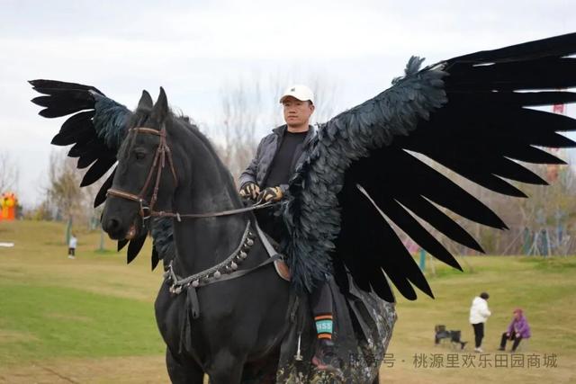 就在明晚！桃源里欢乐田园“桃醉平谷 桃源寻梦”乐游季正式启幕