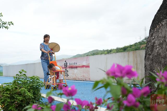 一条城市绿道里的“共赢逻辑”，串起花城生态蝶变、文旅升级、民生幸福