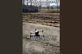 “无人机+热成像”助力找东北虎、野外搜救、森林防火……图片