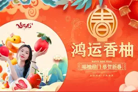 占全国八成！玉林的“炼金术”厉害了图片