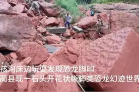 30秒｜男孩河床边玩耍发现恐龙脚印 四川古蔺县现石头开花状蜥脚类恐龙幻迹图片