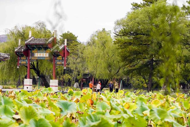河北承德：避暑山庄秋景如画醉游人