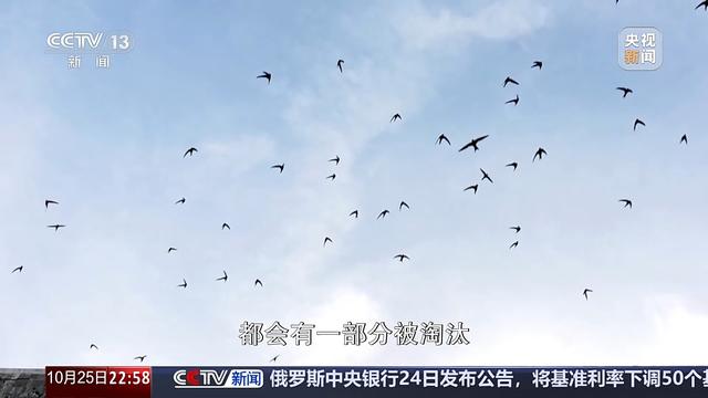 多地气温骤降 今年的秋天去哪儿了