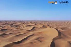 “棘棘”沙漠行，CoCo都可用绿意点亮茶饮公益新方向图片