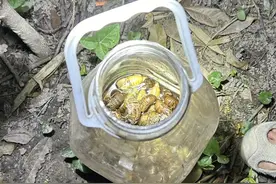 大量出现！“该怎么吃？”网友吵翻图片