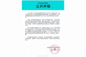 极端场景下或有燃烧风险！罗马仕召回49万台充电宝，快看看你有没有图片