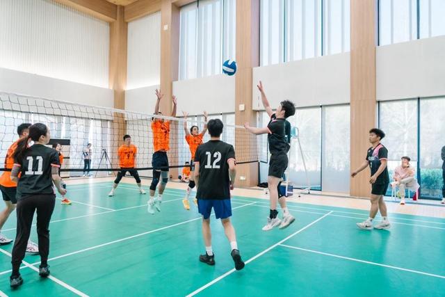 青岛藏马山解锁春日新玩法：樱花遇上体育，文旅融合点燃乡村活力