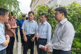 以更高标准更严要求守牢耕地保护红线！缪京督导宅基地违法占耕突出问题整改工作图片