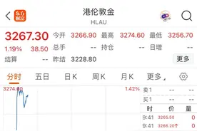 直线拉升！现货黄金再创新高图片