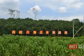 广西5死1伤命案：嫌犯畏罪自杀，男孩藏衣架下躲过追杀图片