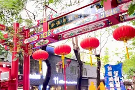 汕头华侨新村路步行街大量市花金凤树被砍伐？金平区官方回应图片