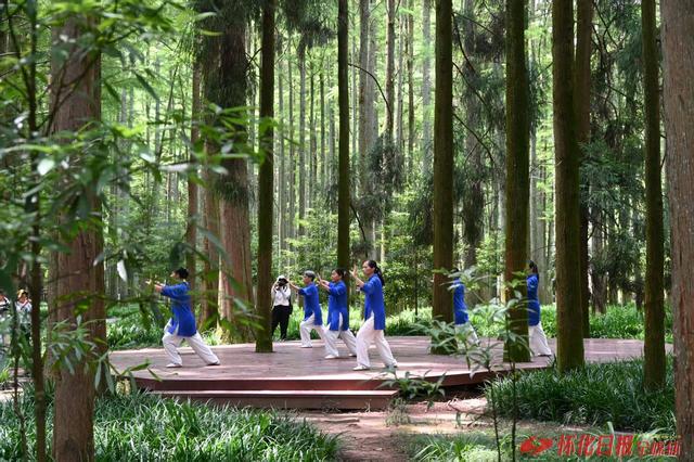 福地怀化 懂你如家｜​邂逅一场清凉与诗意的旅行——靖州排牙山景区见闻