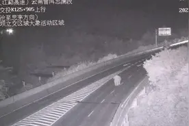 在高速公路上“散步”？这头野生亚洲象有点调皮→图片