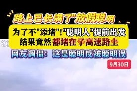 为不添堵 “聪明人”提前出发 结果竟堵在高速上图片