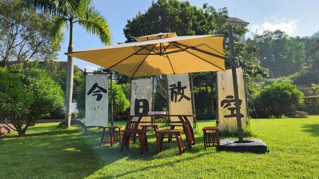 高能预警！现场直击丰顺绝美花墙、花路...