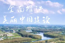 亳州2024年六五环境日主题海报出炉图片