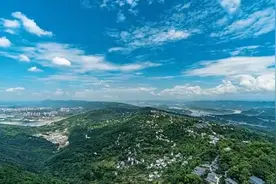 专家点评|长清做大区位优势，推动科技创新与新兴产业双向奔赴图片