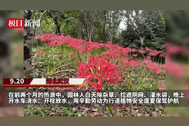 高温中的“花坚强”是谁？听听园林人怎么说图片