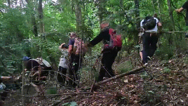 险！11人寒夜被困深山，含6个孩子……