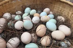 在商圈里赶大集是什么体验？来版筑翠园感受与东川的温暖连接图片